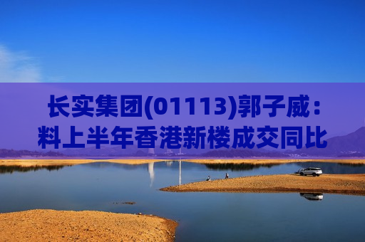 长实集团(01113)郭子威：料上半年香港新楼成交同比升逾30%