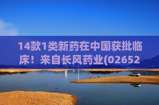 14款1类新药在中国获批临床！来自长风药业(02652)、恒瑞医药(01276)等