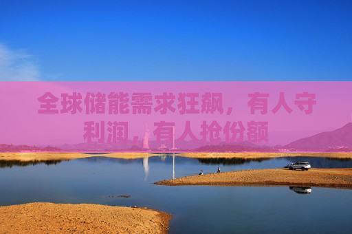 全球储能需求狂飙，有人守利润，有人抢份额