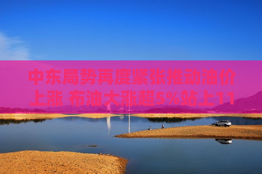 中东局势再度紧张推动油价上涨 布油大涨超5%站上114美元