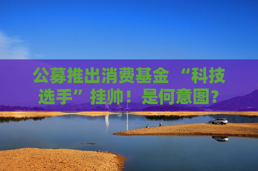 公募推出消费基金 “科技选手”挂帅！是何意图？