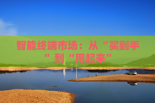 智能终端市场：从“买到手”到“用起来”