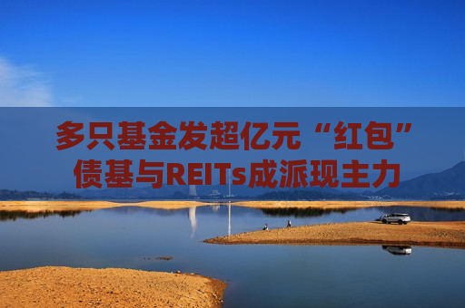 多只基金发超亿元“红包” 债基与REITs成派现主力