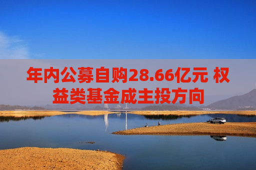 年内公募自购28.66亿元 权益类基金成主投方向