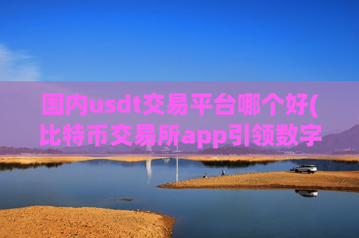 国内usdt交易平台哪个好(比特币交易所app引领数字金融)