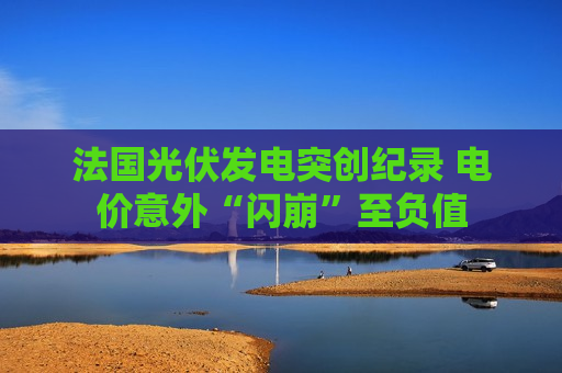 法国光伏发电突创纪录 电价意外“闪崩”至负值