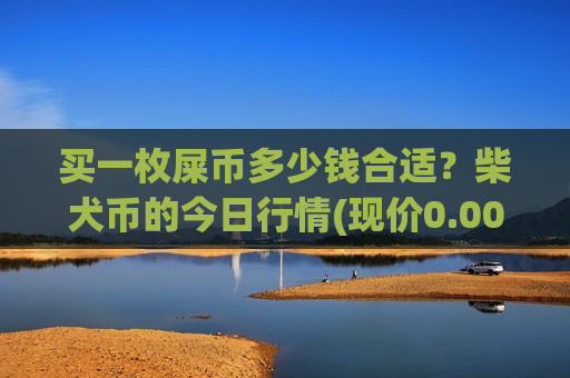买一枚屎币多少钱合适？柴犬币的今日行情(现价0.0001588元)