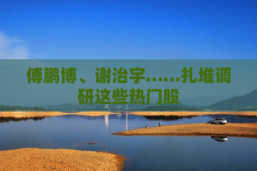 傅鹏博、谢治宇……扎堆调研这些热门股