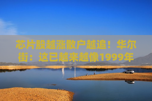 芯片股越涨散户越追！华尔街：这已越来越像1999年