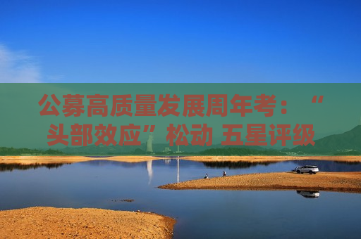 公募高质量发展周年考：“头部效应”松动 五星评级阵营大洗牌