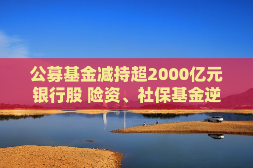 公募基金减持超2000亿元银行股 险资、社保基金逆势加仓