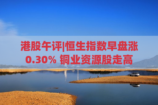 港股午评|恒生指数早盘涨0.30% 铜业资源股走高