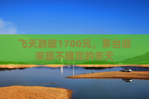 飞天跌破1700元，茅台迎来最不确定的冬天