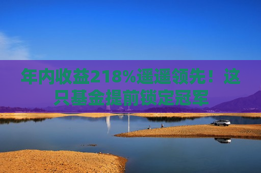 年内收益218%遥遥领先！这只基金提前锁定冠军