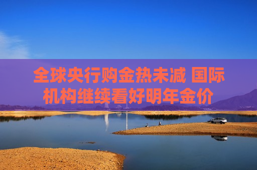 全球央行购金热未减 国际机构继续看好明年金价