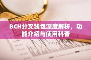 BCH分叉钱包深度解析，功能介绍与使用科普