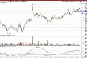 796交易所敏感设置：796交易所软件下载