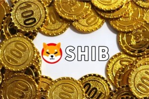 屎币能涨到1美元吗