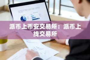 派币上币安交易所：派币上线交易所