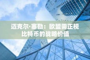 迈克尔·塞勒：欧盟需正视比特币的战略价值