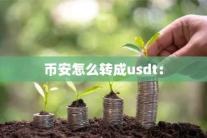 币安怎么转成usdt：