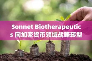Sonnet Biotherapeutics 向加密货币领域战略转型：对 HYPE 和财务创新的坚定押注