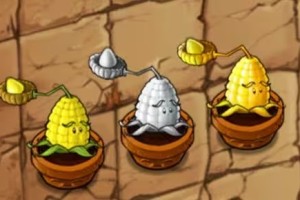 金银玉米投手登场