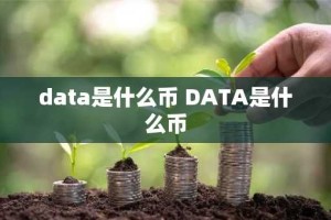 data是什么币 DATA是什么币