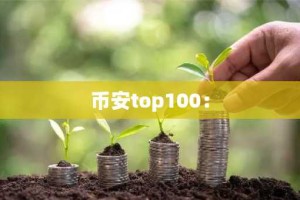 币安top100：