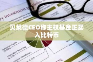 贝莱德CEO称主权基金正买入比特币