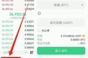 币安代码语言深度解析，功能特色与实战教程