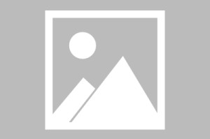 《数码宝贝物语：时空异客》NS2版支持60帧模式