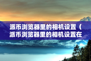 派币浏览器里的相机设置（派币浏览器里的相机设置在哪里）