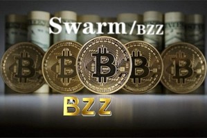 派币越南(南越国货币)