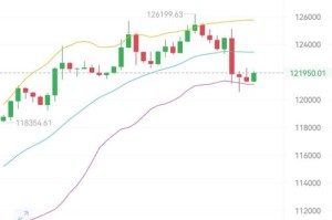中国比特币持有者人数分析，数据与趋势解读