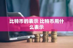 比特币的表示 比特币用什么表示