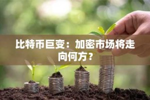 比特币巨变：加密市场将走向何方？