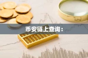 币安链上查询：