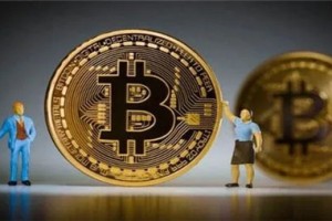 2023 年 12 月发现 3 个最佳新兴加密货币