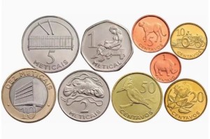 犀牛币app下载：犀牛币官网