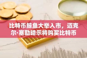 比特币鲸鱼大举入市，迈克尔·塞勒暗示将购买比特币
