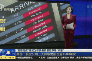 BTC行情解析，最新数据解读及市场动态展望