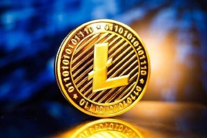 莱特钱包数据包：莱特钱包数据包是什么