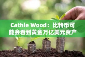 Cathie Wood：比特币可能会看到黄金万亿美元资产价值