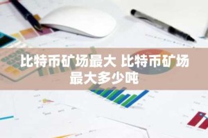 比特币矿场最大 比特币矿场最大多少吨
