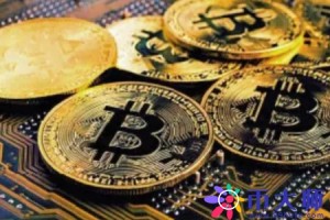 莱特币最开始一个多少钱(莱特币最开始一个多少钱一枚)