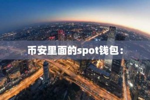 币安里面的spot钱包：