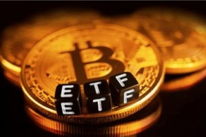 AKITA币是什么?Akita币在哪交易?