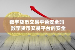 数字货币交易平台安全吗 数字货币交易平台的安全性问题揭秘：你的资产真的安全吗？