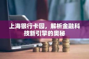 上海银行卡园，解析金融科技新引擎的奥秘